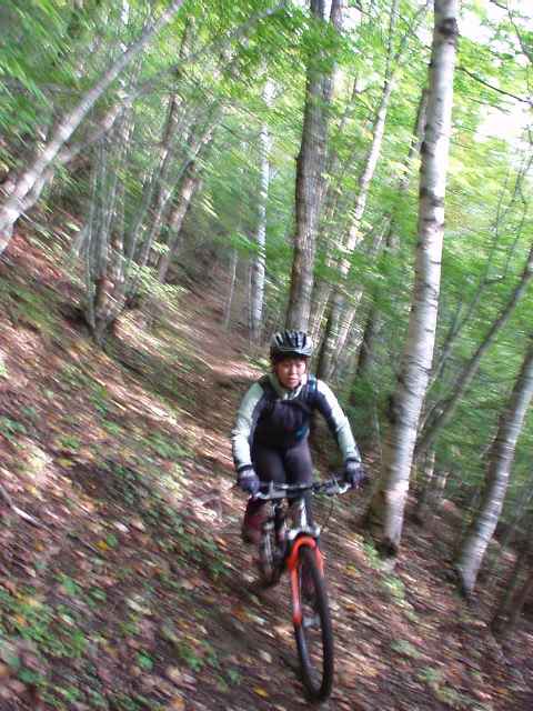 nCXs[hgC