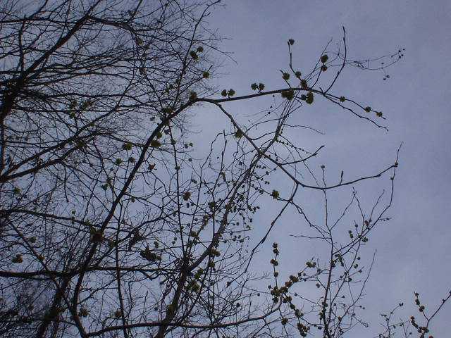Au`JԁI