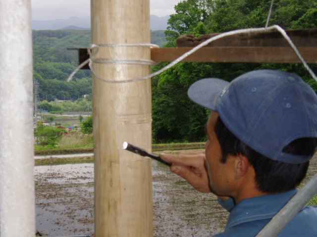cut a dap on the pole