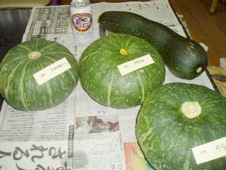 pumpkin brothers