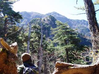veiwing the top of Kaikoma