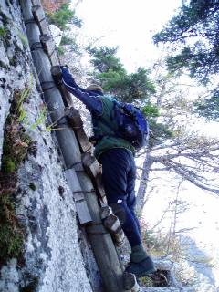 climbing a ladder