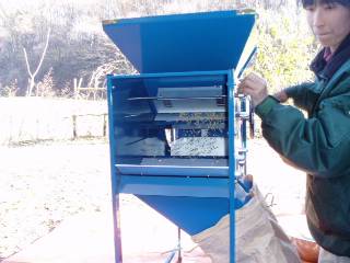 testing