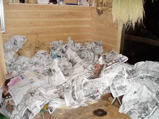 newspaper sprayed with boric acid solution