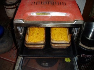 pumpkin cake
