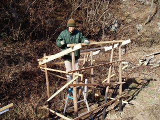 joint poles and install rafters - mostly using old lumbers
