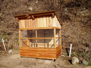 paint with persimmon tannin and ready for the chicks to come