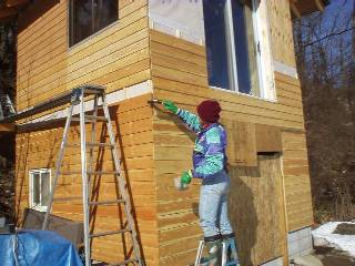 using the paint made from persimmon tannin