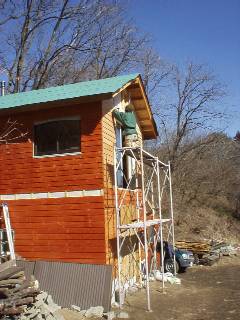 persimmon tannin paint turned to bright red