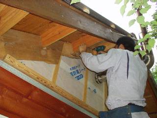 sheathing for plaster wall