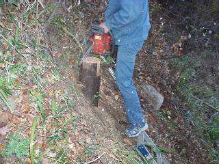 cut the top side of the pole to place the beams