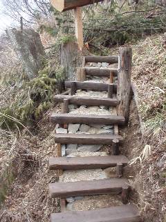 use old logs cut into halves to build steps