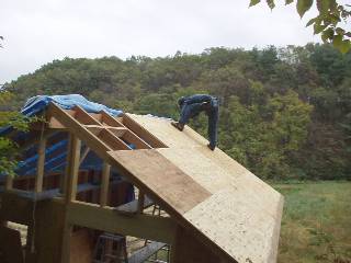 lay plywood sheathing