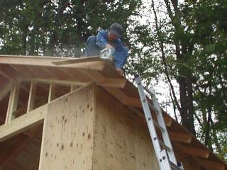 trimming the edge of the sheathing
