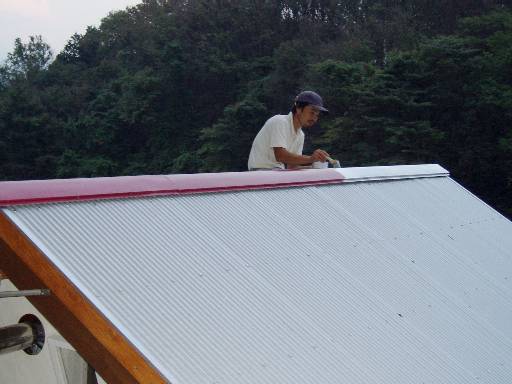 painting the ridge plate