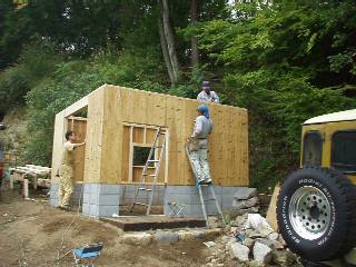 add plywoods to the walls