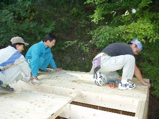 lay plywoods for the 2F subfloor