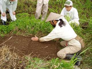 press down so that seeds and soil stick together
