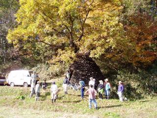 members gathered at the "pinecone house"