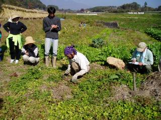then cut weeds